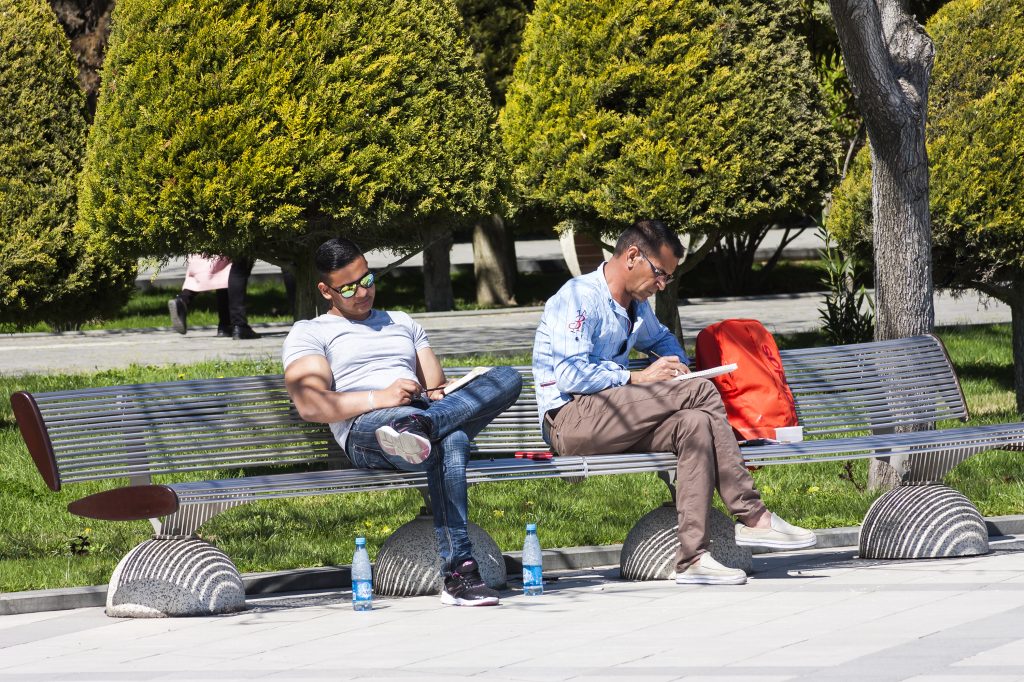 Two guys reading on a bench in park