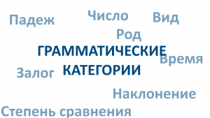 Грамматические категории